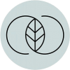 1icon.png
